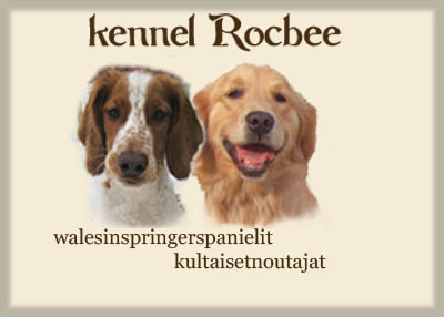 kennel Rocbee, walesinspringerspanielit, kultaisetnoutajat, cavalierit/></a></td>
	<td width=