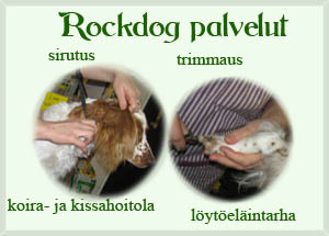 Rockdog palvelut